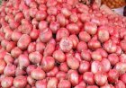 ভারত থেকে পেঁয়াজ আমদানি বন্ধ