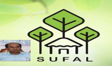 বন অধিদপ্তরের আওতায় বাস্তবায়নাধীন সুফল প্রকল্পে চলছে হরিলুট