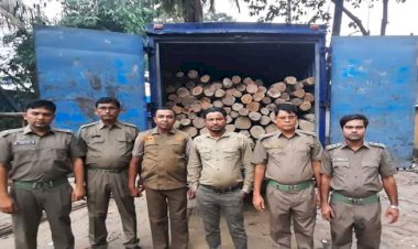 চট্টগ্রাম উত্তর বন বিভাগে বিভিন্ন অভিযানে গত জুন মাসে উল্লেখযোগ্য সাফল্য অর্জিত