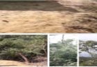 কক্সবাজার উত্তর বনবিভাগের পিএমখালী রেঞ্জে চলছে সংরক্ষিত পাহাড় বিক্রির ধুম