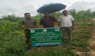 "শেখ হাসিনার নির্দেশ, জলবায়ু সহিষ্ণু বাংলাদেশ"