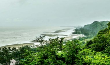 ৩ বছর অতিবাহিত হলেও কক্সবাজারে সবুজ বেষ্টনীর কাজে নেই কোন অগ্রগতি