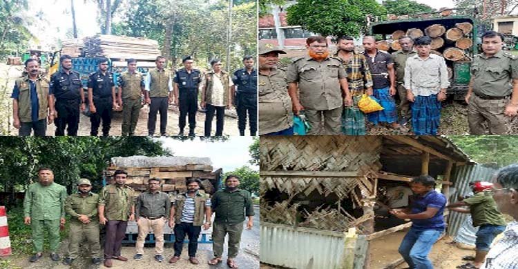 চট্টগ্রাম উত্তর বন বিভাগের পৃথক অভিযানে গত সেপ্টেম্বর মাসে ৫ একর বনভূমি দখলমুক্ত ও ৮ শতাধিক ঘনফুট চোরাই কাঠ আটক