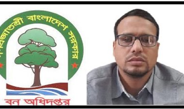 ৬ বছর চাকুরী করেই কোটি টাকার জমি কিনেছেন টাঙ্গাইল সদরের ফরেস্টার এমরান