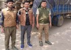 সোনারগাঁওয়ে চোরাই কাঠসহ পিকআপ আটক