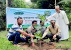 গাছ লাগিয়ে যত্ন করি সুস্থ প্রজন্মের দেশ গড়ি
