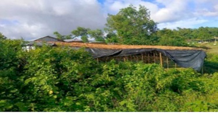 কক্সবাজার দক্ষিণ বনবিভাগের পানেরছড়া রেঞ্জাধীন বনভূমিতে চলছে অবৈধ স্থাপনা সহ পাহাড় কাটার মহোৎসব