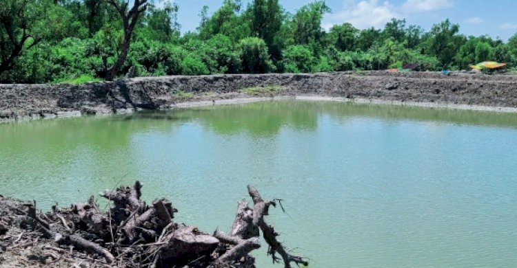 মহিপুর রেঞ্জ কর্মকর্তার যোগসাজশে গঙ্গামতি সংরক্ষিত বনাঞ্চলের বিভিন্ন প্রজাতির হাজার হাজার গাছ কেটে মাটি উত্তোলন করছে একটি চক্র