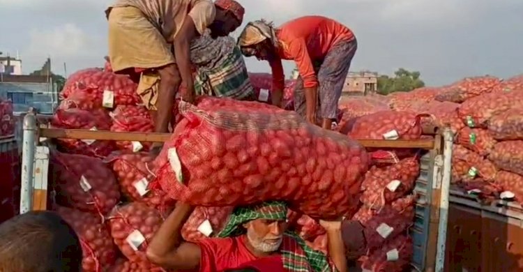 এক দিনে এলো ৯৭৬ মেট্রিক টন আলু, পাইকারি ৩১ টাকা