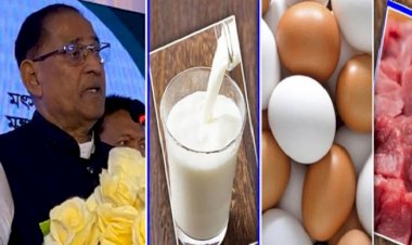 রমজানে যেসব স্থানে মিলবে সুলভ মূল্যে ডিম, দুধ ও মাংস