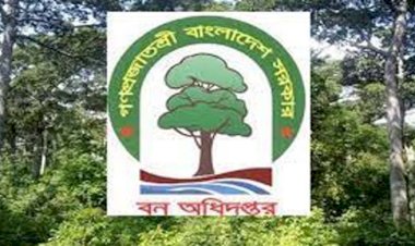 বন বিভাগে মামলাবাজদের দৌরাত্বে মাঠ পর্যায়ে পদোন্নতি বিঘ্নিত