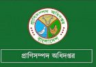 ক্ষমতার পালাবদল হতে না হতেই প্রাণিসম্পদ অধিদপ্তরে চলছে বদলী বানিজ্য আর চাঁদাবাজি