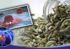 নিয়মিত মৌরি খেলে কাছে ঘেঁষবে না ক্যানসার! হার্টও থাকবে সুস্থ-সবল