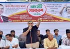 জুলাই আন্দোলনে ছাত্রদলের রক্ত ঝরেছে বলেই হাসিনার পতন হয়েছে- মীর শাহে আলম
