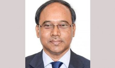 প্রধান উপদেষ্টার বিশেষ সহকারী হলেন রাষ্ট্রদূত সুফিউর রহমান