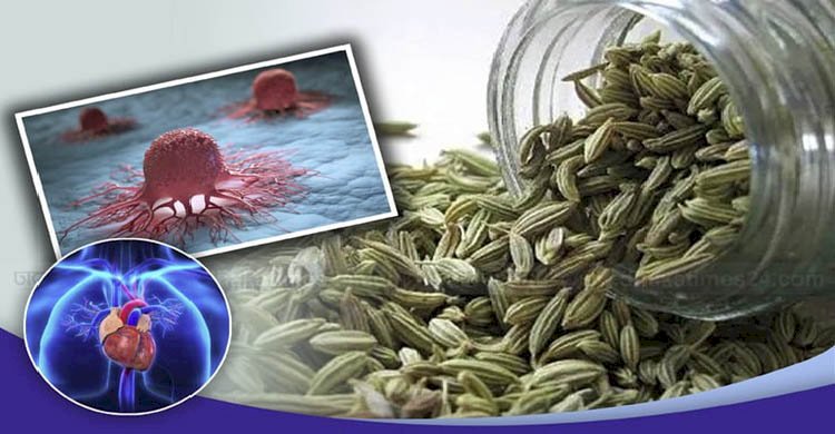 নিয়মিত মৌরি খেলে কাছে ঘেঁষবে না ক্যানসার! হার্টও থাকবে সুস্থ-সবল