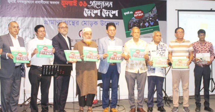 গণঅভ্যুত্থানে অবদানের স্বীকৃতি চেয়েছেন প্রবাসী জুলাই যোদ্ধারা