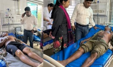 চকরিয়া ডুলাহাজারা সাফারি পার্কের হাতির আক্রমণে ২ মাহুত আহত 