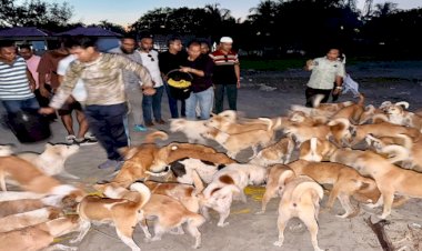 সেন্ট মার্টিনে অভুক্ত প্রাণীর পাশে বাংলাদেশ অ্যানিমেল ওয়েল ফেয়ার অ্যাসোসিয়েশন 