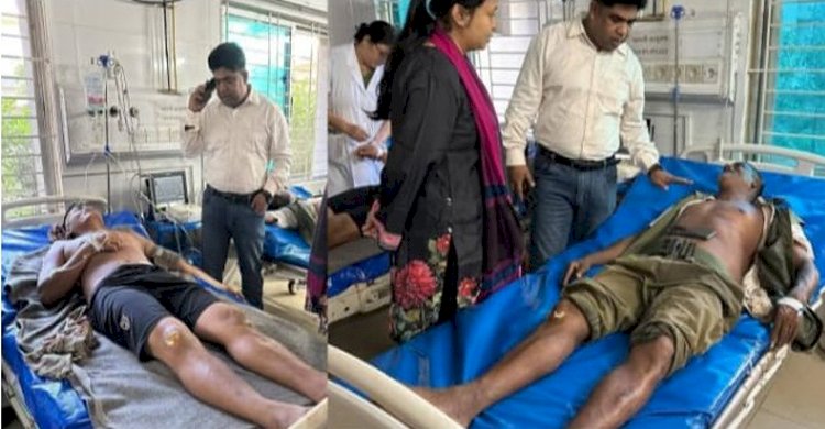 চকরিয়া ডুলাহাজারা সাফারি পার্কের হাতির আক্রমণে ২ মাহুত আহত 