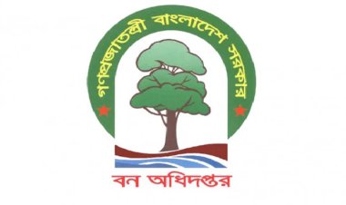 বন বিভাগের কিছু লোক স্বার্থ-আদায়ে মিথ্যা অভিযোগের আবেদন দিচ্ছে বিভিন্ন দপ্তরে