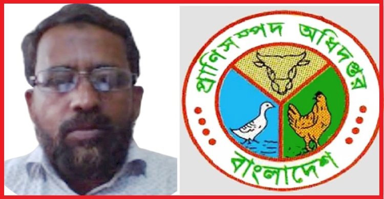 পিআরএলকে সামনে রেখে প্রানীসম্পদ অধিদপ্তরের পরিচালক বাজেট সাইফুজামানের বেপরোয়া ঘুষ বানিজ্য
