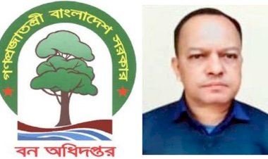 বাগান নেই, আছে ৭০ লক্ষ টাকার বিল-ভাউচার চট্টগ্রাম উত্তর বন বিভাগে পুকুর চুরি, অভিযুক্তকে বাঁচাতে তদন্ত ধামাচাপা