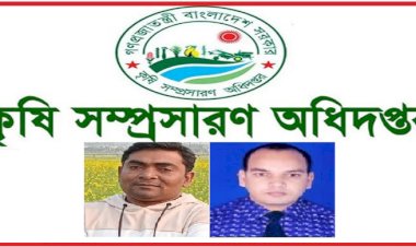 কৃষি সম্প্রসারণ অধিদপ্তরে অনিয়মের সম্রাট ফ্যাসিষ্ট হাসিনার দোসর ত্রিরত্ন আমিনুর, হামজা,হান্নানের বেপরোয়া দুর্নীতি অব্যাহত