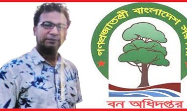 ২০ লক্ষ টাকা উৎকোচে শামীম রেজার ধূমঘাট পোস্টিং: বন বিভাগের দুর্নীতির নেপথ্যে বন সংরক্ষক ও ডিএফও সিন্ডিকেট