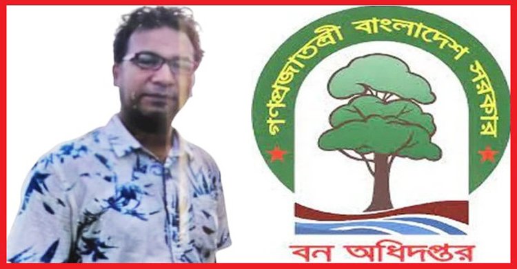 ২০ লক্ষ টাকা উৎকোচে শামীম রেজার ধূমঘাট পোস্টিং: বন বিভাগের দুর্নীতির নেপথ্যে বন সংরক্ষক ও ডিএফও সিন্ডিকেট