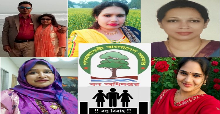 বন উজাড়ে সর্বকালের রেকর্ড সৃষ্টিকারী ময়মনসিংহ বন বিভাগে কর্মরত লেডি কিলার খ্যাত ডেপুটি রেঞ্জার ইসমাইলের বিরুদ্ধে দুদকের মামলার প্রক্রিয়া চুড়ান্ত