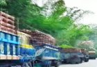 বান্দরবানের পাহাড় থেকে ট্রাক ভর্তি কয়েক লক্ষ সিএফটি কাঠ অবৈধভাবে পাচার