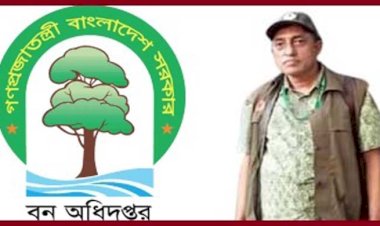 দুর্নীতির বরপুত্র বড়দুয়ারা স্টেশন কর্মকর্তা ফজলুর কাদের চৌধুরী: অনিয়মের আখড়ায় পরিণত চট্টগ্রাম দক্ষিণ বন বিভাগ