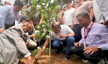 দেশব্যাপী ২৫ কোটি বৃক্ষরোপণ কর্মসূচি উদ্বোধন করলেন প্রধানমন্ত্রী