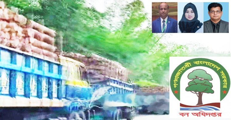 বান্দরবান পাহাড় থেকে ঈদ ছুটিতে শতাধিক ট্রাক ভর্তি কাঠ অবৈধভাবে কেটে পাচার
