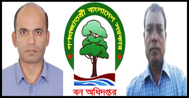 তদন্ত ধামাচাপা দিতে সিএফ এর ছায়া! লামার ‘বনখেকো’ রেঞ্জার কবিরের খুঁটির জোর কোথায়?