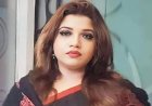 শেখ হাসিনাকে ফেরানোর চেষ্টায় কূটনৈতিক ঘাটতি নেই: পররাষ্ট্র প্রতিমন্ত্রী