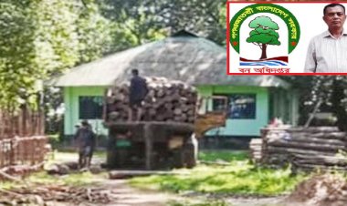 রেঞ্জ কর্মকর্তা কবিরের নতুন টিপিতে পদুয়ায় অবৈধ কাঠসহ ট্রাক আটক