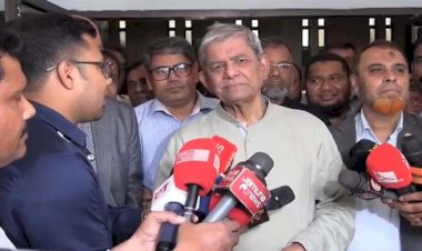 পরবর্তী রাষ্ট্রপতি কে, সেটি নির্ধারণের প্রক্রিয়া জানালেন মির্জা ফখরুল