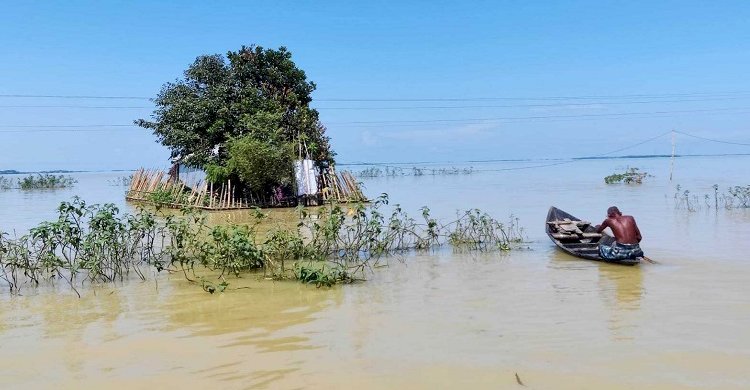 ঋতুচক্রের অস্থিরতায় খাদ্য উৎপাদনে বাড়ছে অনিশ্চয়তা