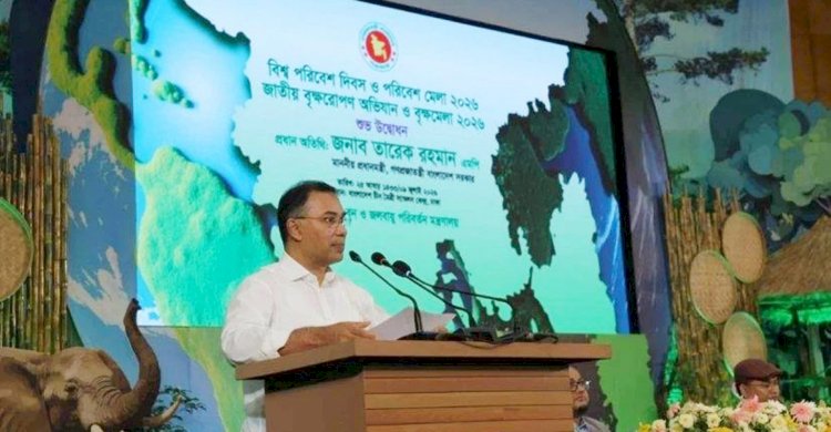 ডুলাহাজারায় সরকারি হিসাবে ৭ লাখ দেখালেও গাছ লাগানো হয়েছে ২ লাখ: প্রধানমন্ত্রী