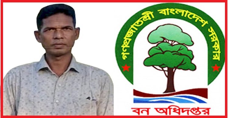 করেরহাট বিট কাম চেকস্টেশনে প্রকাশ্য চাঁদাবাজি ও গাছ পাচারের মহোৎসব: অদৃশ্য কারণে ডিএফও ও এসিএফ-এর নীরবতা পালন