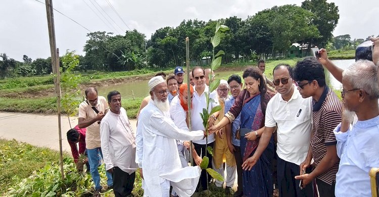 কেন্দুয়ায় দুই কিলোমিটার সড়কে বৃক্ষরোপণ কর্মসূচির উদ্বোধন
